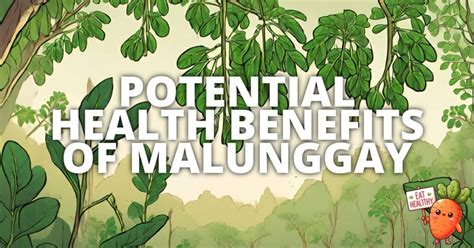 9 Potential Health Benefits Of Malunggay.